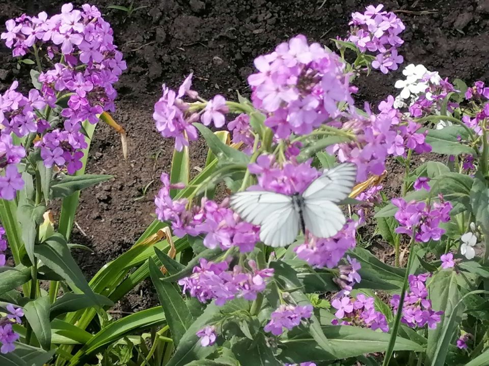 �������� ������: ������� � ���������� � ����� ����