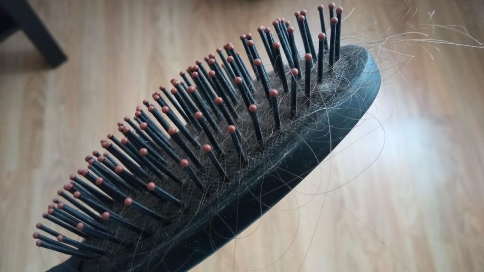 �������� �������� ������ ��������� �����: ��� ��������� ����� ������� ��������