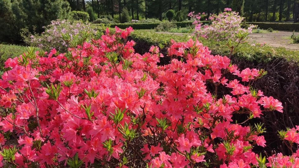 � ������-��� � ������������ ���� ����� ���������� �����