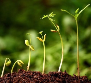 ��� ����������� ����� ��� �������: ������ � ������������