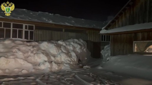 На территории производства древесного угля убит человек- прокуратура Оршанского района признала законным возбуждение уголовного дела