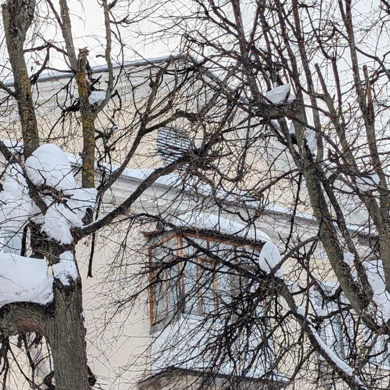 Доброе утро! Желаем вам сегодня поймать дзен посреди рабочей недели