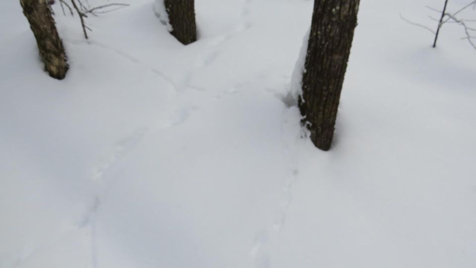 �� ����� �������� ������� �������� ������� � ����������� ������� ������� ������� ������� ��������� �������� �������� ������� �������� �� ��������� �����, ����������� �� ����������� ��������