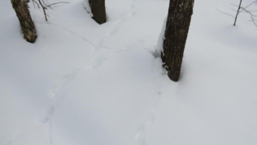 �� ����� �������� ������� �������� ������� � ����������� ������� ������� ������� ������� ��������� �������� �������� ������� �������� �� ��������� �����, ����������� �� ����������� ��������