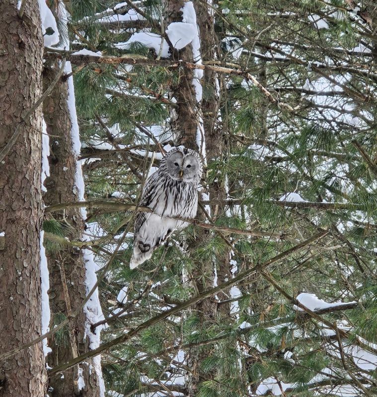 � ������������ ���� ������-��� ����� �������� ��������� �����