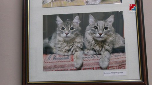 � ������-��� ��������� ����� � �������-����������