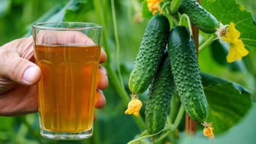 ������� ����� �� �������� � ����: 7 ��������� � ������ �� ����������