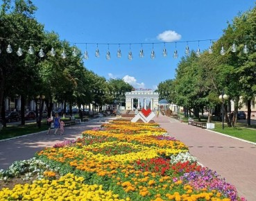 Предстоящей весной в Йошкар-Оле высадят около 400 000 саженцев цветов