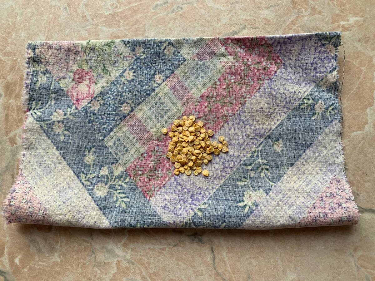 Как быстро прорастить семена перца: секреты идеального метода