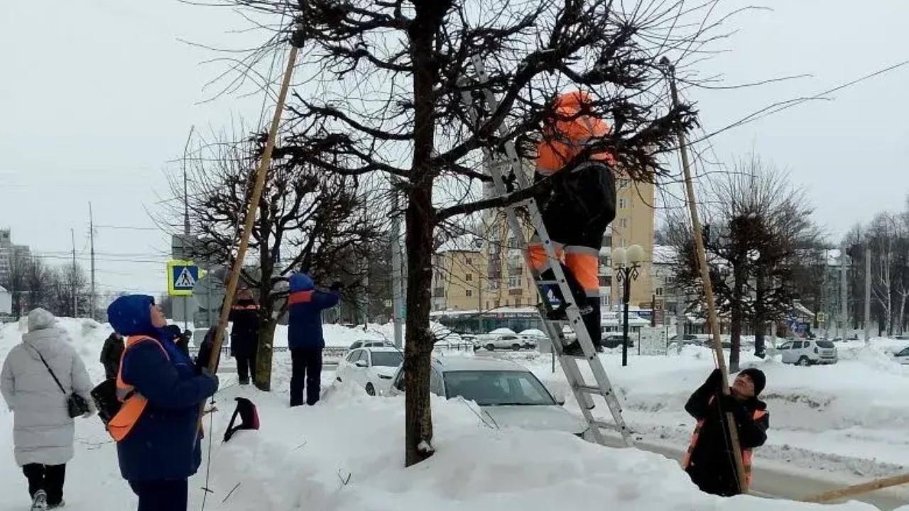 На улицы Йошкар-Олы вышла бригада «зелёных»