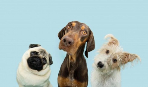 ������ ������ ��������� ������ �� ����� ��������� � ���������: ����� ������ ���������