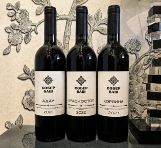 Чёрно-белая тройка Собер Баш: от Адау до Корвины