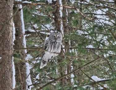 ������������� �������� �������� � ������������ ���� ������-���