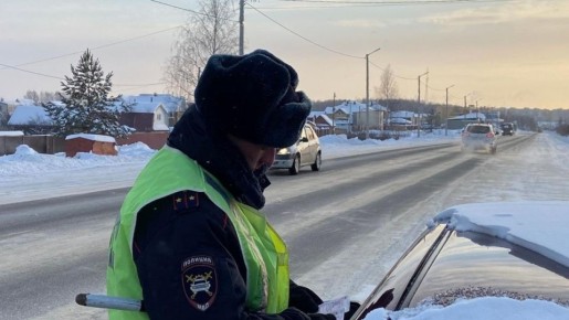 В Марий Эл 20-летний водитель без прав накопил более 30 штрафов