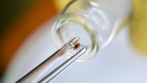 ������������ ����� �� ����������� ��������� �� ��������� ����������