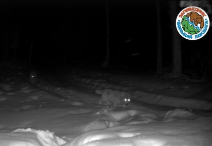 � ��������� ����� ��-�� ��������� ����� ���� ���������� ������ ������� ��� ������