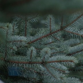 ������ ����! �����������, �� �����? � �� ���� �� �����