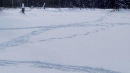 �������� ���� ����� � ����� �� ���������� ����� ��������