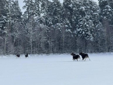 ��� ���� ��������� ��������� ���������� ��� ������ ���������� ����� ��. ��������� ������� ������� ������ ��������� ��������� ����� ����� � ����������� ������ �� ���������