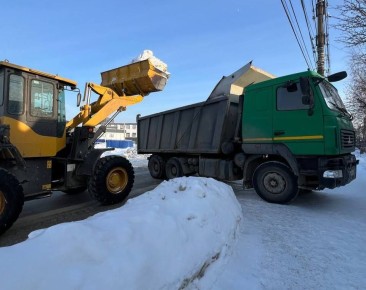 � ������ ���� � ���� ������� ������� ����� 20 000 ���������� �����, ���������� � ��������� ��������� ���������������