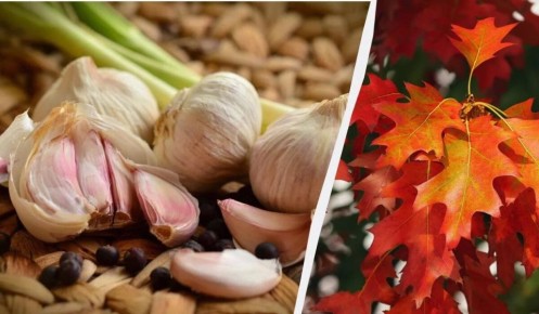 ����������� ��� ��� ������� ������� ������� � ������: ������� ����������� ������