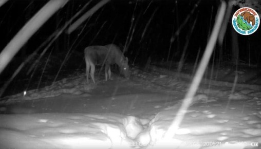 ����������� ����������� �������� ������� ���������� � ����������� ����� ������� ����������, ����������� � ��������� �����