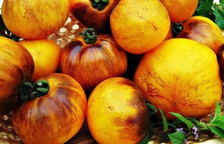 ������-��������: ����� ��� ������ �� ����� �����