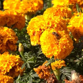 Просыпаемся! Новый день уже ждет нас с распростертыми объятиями