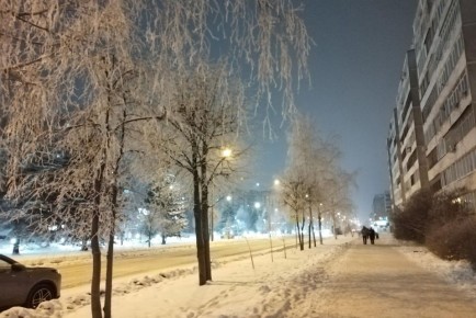 � ����� �� �� ���� ������ ���������� �� -24�