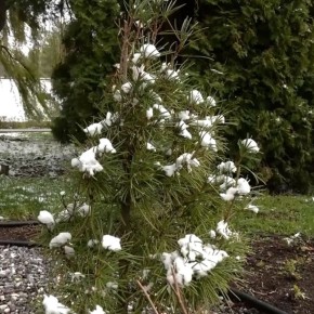 ����������? ����� ���������!