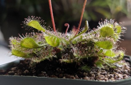 ������� ������ ��������: ������� ��������� �����