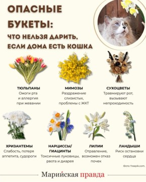 ����� �� 8 ����� ����� ���� ������ ��� �����