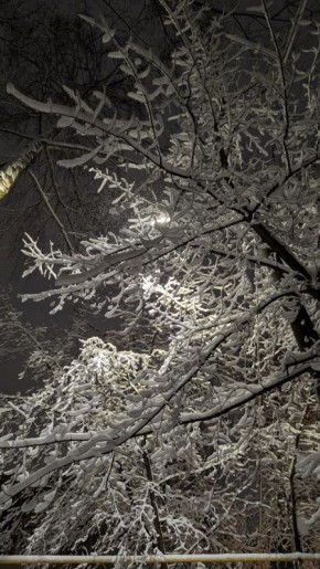 ��� �� ������ ����� �����, ����� ��� ����������