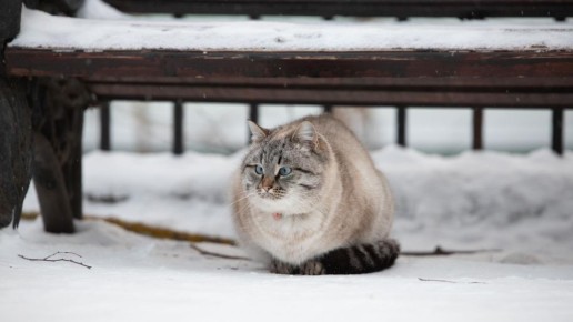 � �������������� ������ ����� �� ���������� ������� �����