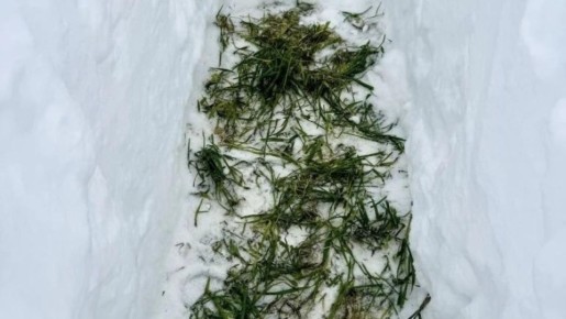 ����������� ���������� ������� ������������������ ��������� ��������� ������ � ����� �� ������-������� ����� ��