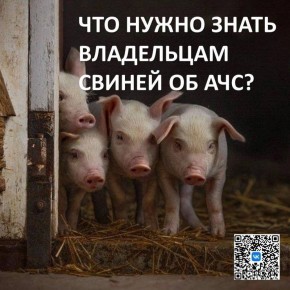 ��� ����� ����� �� ����������� ���� ������ � ����� ��������� ������� ���������� ������ ��������� ��������, ����� ������������� ����������� ���������� � ������ Max: