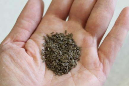 ����� ����� � ������: �������� ������� ��� �����������