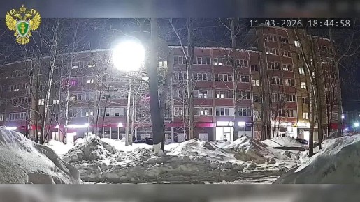 �� ������ ������������ �����������, ���������� ������� 2020 ���� ��������