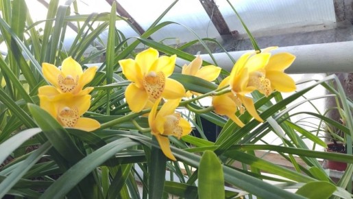 ������� � ��������� ������-��� �������� � �������� ������ ���������