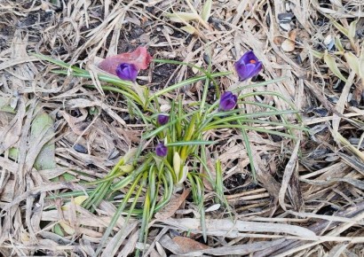 � ��������� �������� � ������-��� ���� �������� ������ ����� � �������