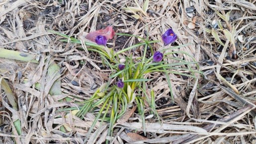 � �������� �������� � ������-��� ����������� ������� ������� ��������� ���� +10�