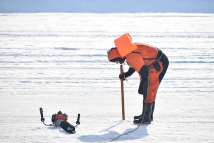 ��������� ���� ������� ������ ���� �� ����� ����� ��