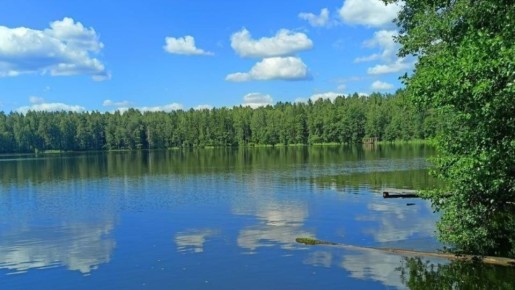 В Минприроды Марий Эл рассказали, сколько в республике рек, ручьёв и озёр