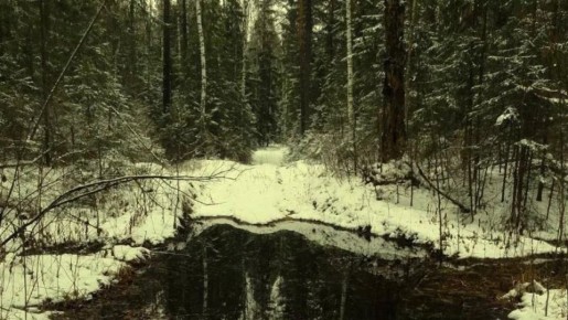 В Марий Эл существуют аномальные зоны