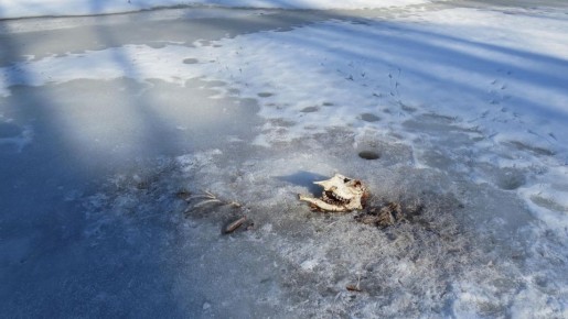 � ��������� ����������� ������� ������ ����� ������� ������� ����