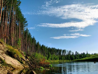 За прошлую неделю в Марий Эл гриппом и ОРВИ заболело 2583 человека