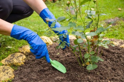 ������� �������� ������� ���: �� ������ ����� �� ���������� �����