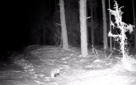 �����������, ������������� � ������������ ����� ����� �����, ����������� ����������� ������, ����������� �� ������ ������