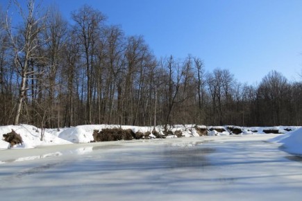 � ����� �� �� ���� ���������� ��������� ��������� � ��������� ����