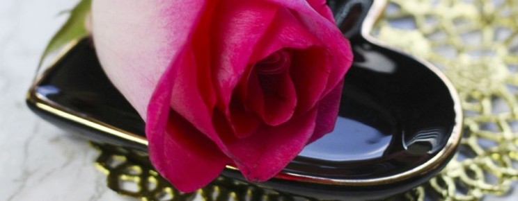 ������� ������� ��� ������������� �������������� ������